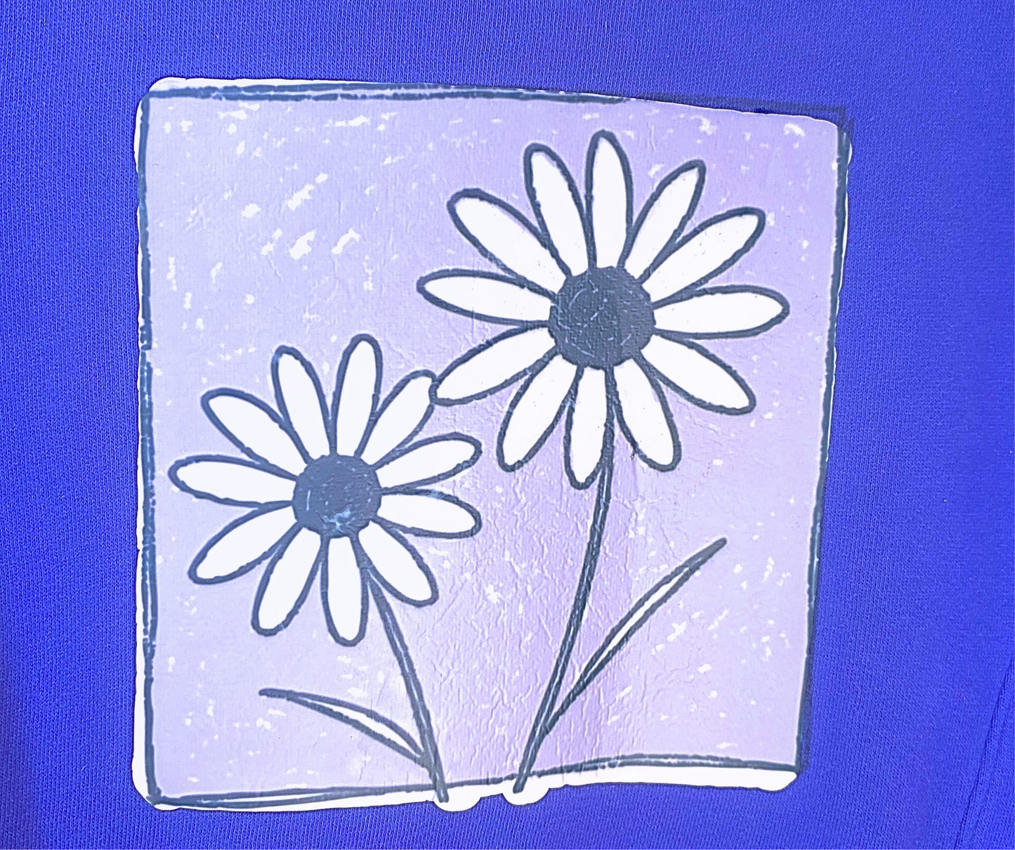 Pastel Frame Daisy Crew – Girls/Boys Cozy Sweatshirt